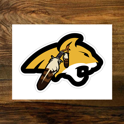 Native American College & Universities Stickers